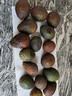 正宗進(jìn)口秘魯哈斯牛油果孕婦水果寶寶輔食進(jìn)口鱷梨整箱批發(fā)價(jià) 8個(gè)裝 單果重130-160克 曬單實(shí)拍圖