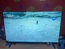 Vidda 海信電視50寸 R50 一級能效 萊茵低藍光護眼 以舊換新家電國家補貼游戲液晶平板電視機50VR1Q 曬單實(shí)拍圖