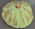 藕荷泥（OUHENI）洪湖嫩蓮蓬新鮮蓮子米生吃嫩蓮蓬米湖北特產(chǎn)孕婦甜水果嫩蓮蓬即食 洪湖嫩蓮蓬3斤（順豐空運） 曬單實(shí)拍圖