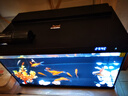 森森金麟超白玻璃魚缸一體缸自循環(huán)客廳小型家用水族箱LE-480B 曬單實(shí)拍圖
