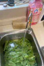 九陽（Joyoung）凈水器機家用廚下礦物質(zhì)凈飲水自來水前置過超濾器機1283 曬單實拍圖
