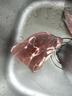 肉鮮廚師 新西蘭原切鹿腿肉凈重2斤 新鮮梅花鹿腿肉 曬單實拍圖