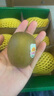 佳沛（zespri）新西蘭  陽(yáng)光金奇異果6粒裝 單果約77-103g  源頭直發(fā)  獼猴桃 曬單實(shí)拍圖