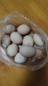 京喜加 無(wú)菌蛋可生食雞蛋 45g-50g 溏心蛋早餐新鮮雞蛋京東包郵買(mǎi)菜 可生食10枚 曬單實(shí)拍圖