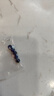 VUCKO天然深藍色虎眼石散珠子單顆虎睛石diy手工串珠多寶手鏈隔 4mm/4顆 曬單實拍圖
