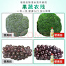 奧妙大桶酵素餐具凈洗潔精 橙花小青柑 1kg*2 4斤裝 1泵1補(bǔ)去鍋具焦糊 曬單實(shí)拍圖