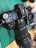 尼康（Nikon）Z63 Z6三代 Z6lll Z6Ⅲ二手全畫幅微單相機(jī)高清專業(yè)攝影照相機(jī) 99新 Z6 三代 單機(jī)身 套餐六【下單套餐六，免費(fèi)升級(jí)套餐七】 曬單實(shí)拍圖