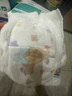 弗尼小象紙尿褲嬰幼兒尿不濕全包臀拉拉學(xué)步一體褲薄柔軟透氣象上服務(wù) 拉拉學(xué)步褲XXXXL36片 曬單實(shí)拍圖
