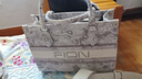菲安妮（FION）油畫托特包包中號女包設(shè)計(jì)師聯(lián)名高級感手提包生日禮物 曬單實(shí)拍圖