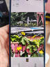 vivo X200 Pro 藍晶x天璣9400芯片蔡司2億APO超級長焦 藍圖影像芯片V3+  OriginOS5 AI 手機 寶石藍 12GB+256GB 官方標配 曬單實拍圖