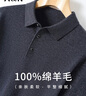 安東尼奧【100%綿羊毛】簡奢商務(wù)休閑男士翻領(lǐng)Polo衫羊毛衫打底毛衣春秋季 曬單實拍圖