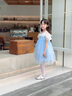 G.DUCKKIDS小黃鴨童裝愛(ài)莎公主裙女童裙子夏季冰雪奇緣艾莎禮服主持人演出服 裙子 110 尺碼4~5歲【100-110cm】cm 曬單實(shí)拍圖