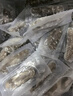 遼參大連海參有機刺參非即食中秋送禮盒送長輩禮物海鮮免泡發(fā)生鮮特產(chǎn) 500g 16-18只(99%客戶在買) 曬單實拍圖