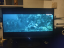 微星（MSI）27英寸2K280Hz QD-OLED顯示器 0.03ms(GTG) HDR400游戲電競顯示屏MAG 271QP QD-OLED X28流光X28 曬單實拍圖