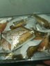 椰子餅廈門特產(chǎn)椰蓉面包糕點網(wǎng)紅小零食小吃休閑食品早餐餅干美食 原味800g 曬單實拍圖