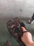 晟防勞保鞋工地帆布鞋勞動(dòng)鞋軍訓迷彩鞋解放鞋透氣耐磨低幫膠鞋43碼 曬單實(shí)拍圖