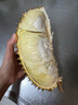 【保4房肉】A級進(jìn)口金枕鮮榴蓮1粒2.5-3kg(L) 曬單實(shí)拍圖