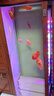 印尼紅龍魚活體魚辣椒紅龍超血紅龍金龍魚活魚龍魚小魚熱帶觀賞魚 精品——超血紅龍魚【包發(fā)色】 16-18cm【證書芯片齊全】包發(fā)色 曬單實(shí)拍圖