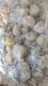 鯨口大開【精選】新鮮青島大扇貝肉鮮活非即食超大夏夷貝帶黃無沙鮮活冷凍 新鮮現(xiàn)剝扇貝肉3斤(凈重) 曬單實(shí)拍圖