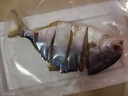 北海特產(chǎn)淡曬金鯧魚干咸魚干深海金昌魚干海鮮干貨風(fēng)干 金鯧魚干【1條160-180g】 曬單實(shí)拍圖