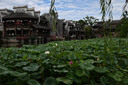 尼康（Nikon）Z5II/z5二代/Z52全畫幅微單相機 高清旅游vlog視頻攝影數(shù)碼照相機 Z5II +Z 50mm f/1.8 S 官方標配【下單送鋼化膜+品牌座充+曬單贈品】 曬單實拍圖