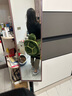 振奮滑雪護具小烏龜護臀屁墊防摔裝備全套裝單雙板防摔護具成人男女 護臀+護膝 曬單實(shí)拍圖