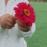 飛亞達（FIYTA）傾城系列“小美滿(mǎn)”羅馬字釘日女表務(wù)小美人送女友禮物 曬單實(shí)拍圖