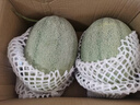 京鮮生 哈密瓜/西州蜜 2粒裝 凈重5-7斤 單果2.5斤起 生鮮水果禮盒 曬單實(shí)拍圖