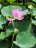飛利浦（PHILIPS）新國標安全插座 8位總控開(kāi)關(guān) 2.8米 兒童保護門(mén) 插線(xiàn)板/插排/排插/接線(xiàn)板/拖線(xiàn)板 曬單實(shí)拍圖