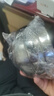 京蓓爾 304不銹鋼碗雙層隔熱學(xué)校食堂飯碗湯碗 鉑金碗11.5cm 曬單實(shí)拍圖