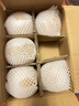 果益壽山東秋月梨【商超精品】當季新鮮脆甜冰糖梨子水果中秋送禮 5斤丨超值裝 單果250g+凈重4.5斤 曬單實(shí)拍圖