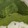 鮮京采【爆款】抹茶千層蛋糕400g動(dòng)物奶油冰淇淋蛋糕零食糕點(diǎn)教師節禮物 曬單實(shí)拍圖