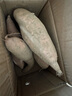 京鮮生山東哈密冰糖薯軟糯香甜白心薯凈重3斤精單果150g+源頭直發(fā) 曬單實(shí)拍圖