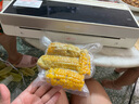 小熊（Bear）全自動真空封口機 干濕兩用食品保鮮真空密封機 免按壓全自動 家商兩用雙泵 FKJ-Q01F2 曬單實拍圖