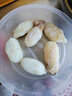 品質(zhì)好舟山特產(chǎn)墨魚(yú)蛋帶膏東海大白蛋個(gè)大烏賊蛋日期新鮮目魚(yú)蛋 免清理大白蛋 250g(凈重) 曬單實(shí)拍圖