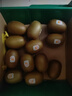 佳沛（zespri）新西蘭 陽光金奇異果12粒禮盒特大果單果約122-146g 獼猴桃 水果 曬單實拍圖