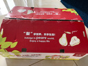 京鮮生 長(zhǎng)城羊脂秋月梨 正宗大果 凈重5斤 單果300g+ 生鮮水果禮盒 曬單實(shí)拍圖