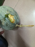 山東哈密瓜新鮮脆甜當(dāng)季西州蜜蜜瓜  孕婦兒童皆宜 8-9斤 曬單實(shí)拍圖