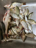 光威（GW） 光威魚(yú)竿龍云超硬臺釣竿 碳素魚(yú)竿超硬魚(yú)桿28調鯉魚(yú)黑坑 7.2m 龍云三代 曬單實(shí)拍圖