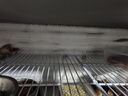 美菱操作臺冰柜冷藏工作臺商用雙溫冰箱奶茶店設(shè)備全套水吧臺不銹鋼保鮮冷凍 【冷藏款】1.8m*0.8m*0.8m 【銅管制冷 丨節(jié)能省電】180天只換不修 曬單實拍圖