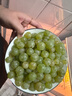 美的（Midea）【國家補(bǔ)貼】榨汁料理機(jī)榨汁杯多功能易清洗家用小型攪拌機(jī)小米糊果汁機(jī)嬰兒輔食機(jī)MJ-WBL2501B 曬單實(shí)拍圖