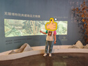ASK JUNIOR女童短袖T恤2025夏兒童兔子印花撞色插肩半袖打底衫 米色  160  曬單實拍圖