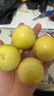 正宗廣西欽蜜9號百香果新鮮水果北城現摘香甜營(yíng)養豐富多汁鮮果 3個(gè)寶寶果 曬單實(shí)拍圖