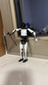 特斯拉（Tesla）官方 Tesla Bot 擺件人形玩偶機器人模型 曬單實(shí)拍圖