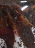 愛貝迪拉（AIBEDILA） 防摔帽嬰兒學(xué)步護(hù)頭防摔枕寶寶頭部保護(hù)墊兒童透氣防撞防摔神器 曬單實(shí)拍圖