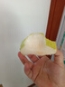 京覓河北皇冠青梨凈重4.5斤單果250g+新鮮水果源頭直發(fā) 曬單實拍圖