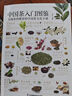 中國茶入門圖鑒  從喝茶到懂茶的中國茶文化手冊   曬單實拍圖