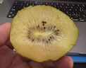 佳沛（zespri）x1號會(huì )員店聯(lián)名款陽(yáng)光金奇異果20粒禮盒單果約146-175g水果獼猴桃 曬單實(shí)拍圖