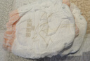 碧芭寶貝大魚海棠拉拉褲XXXL26片(≥18kg)加大碼尿不濕夏季超薄透氣 曬單實拍圖