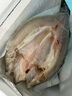 鮮京采三去海鱸魚(yú)3斤/3條 生鮮魚(yú)類(lèi) 白蕉鱸魚(yú)地標 無(wú)冰凈重3斤 源頭直發(fā) 曬單實(shí)拍圖